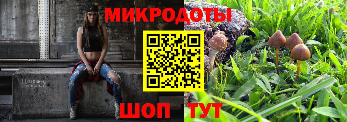 Псилоцибиновые грибы Psilocybe Кизляр